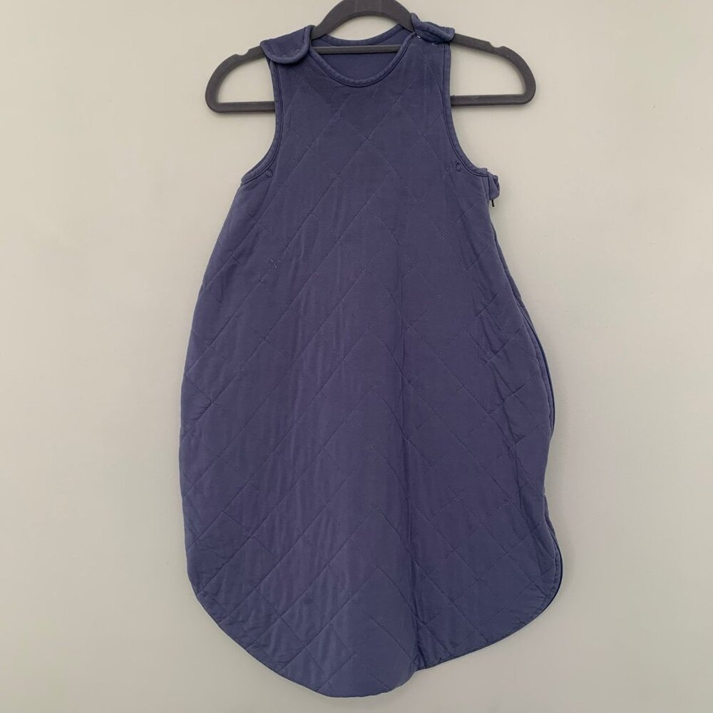 Pottery Barn Kids Quilted Sleep Sack‎ Blue Purple One Size Lyocell Blend